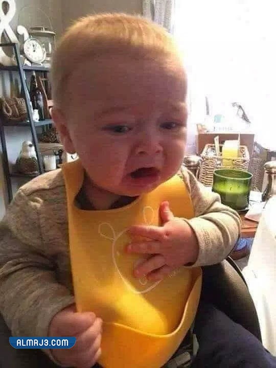 ملصقات وجوه واتساب مضحكة