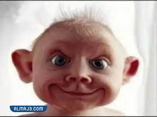 ملصقات وجوه واتساب مضحكة