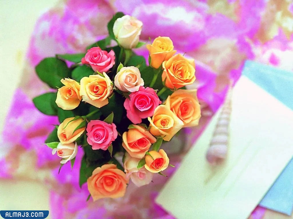 أجمل صور زهور كيوت للفيسبوك