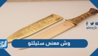 وش معنى ستيلتو