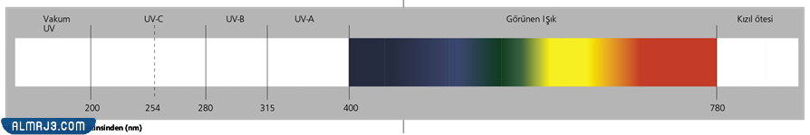 ما هو الضوء