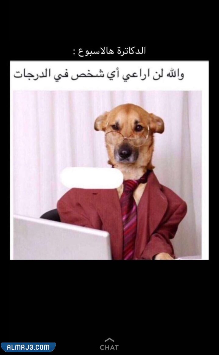 رياكشن اختبارات مميزة جدا