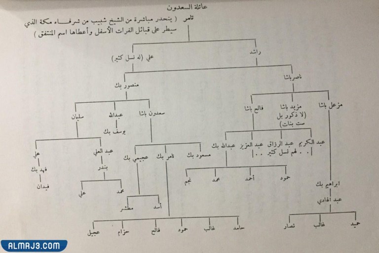 شجرة قبيلة أحمد عبدالعزيز السعدون