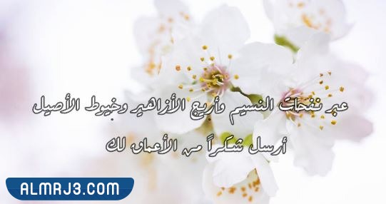 اجمل بطاقة شكر للمعلم بمناسبة يوم المعلم العالمي