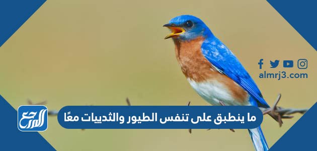 ما ينطبق على تنفس الطيور والثدييات معًا