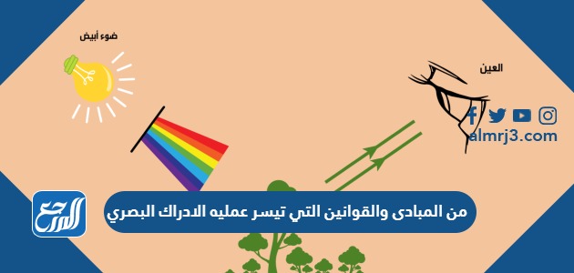 من المبادى والقوانين التي تيسر عمليه الادراك البصري