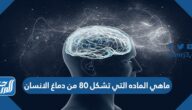 ماهي الماده التي تشكل 80 من دماغ الانسان