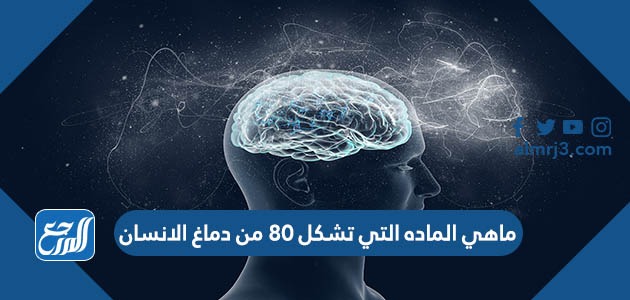 ماهي الماده التي تشكل 80 من دماغ الانسان
