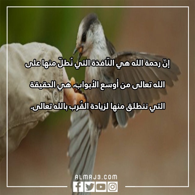 عبارات عن رحمة الله بعباده بالصور 
