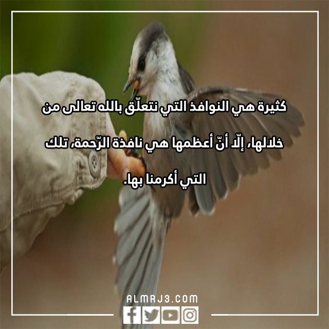 عبارات عن رحمة الله بعباده بالصور 
