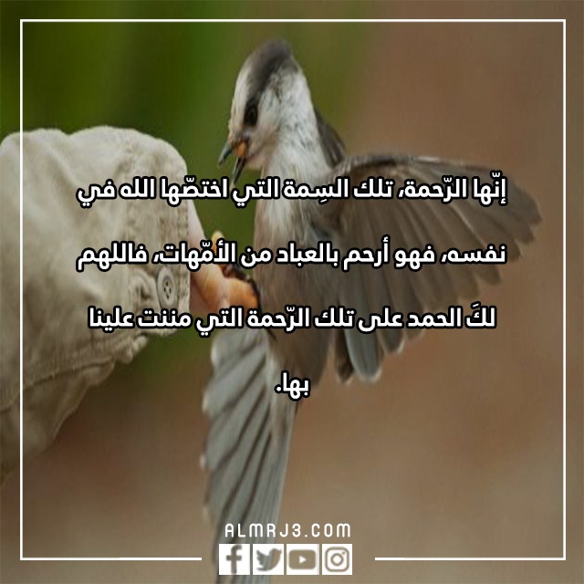 عبارات عن رحمة الله بعباده بالصور 