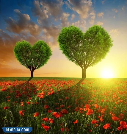 أجمل رمزيات عن الحب 2023