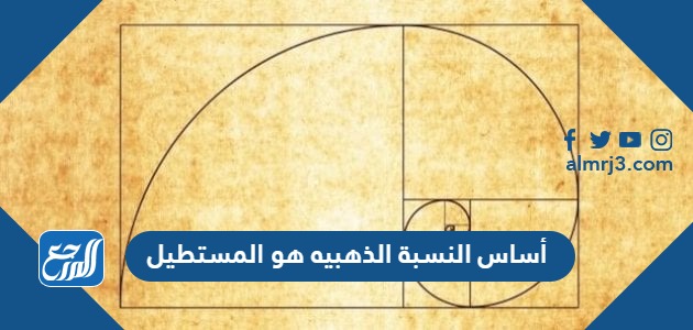 أساس النسبة الذهبيه هو المستطيل