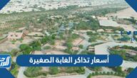 أسعار تذاكر الغابة الصغيرة little jungle في الكويت