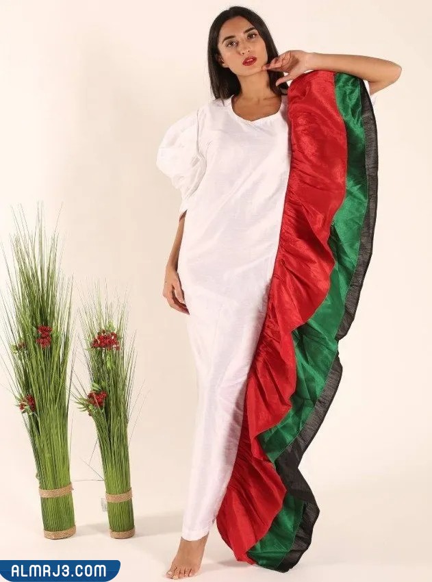 أفكار إطلالات أنيقة ليوم العلم الإماراتي مثل الفاشينيستا 