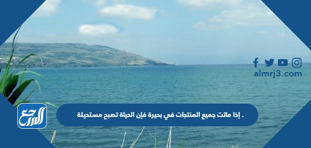 إذا ماتت جميع المنتجات في بحيرة فإن الحياة تصبح مستحيلة .