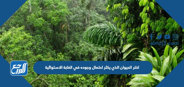 اختر الحيوان الذي يكثر احتمال وجوده في الغابة الاستوائية