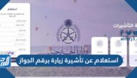 خطوات ورابط استعلام عن تأشيرة زيارة برقم الجواز منصة إنجاز 1444