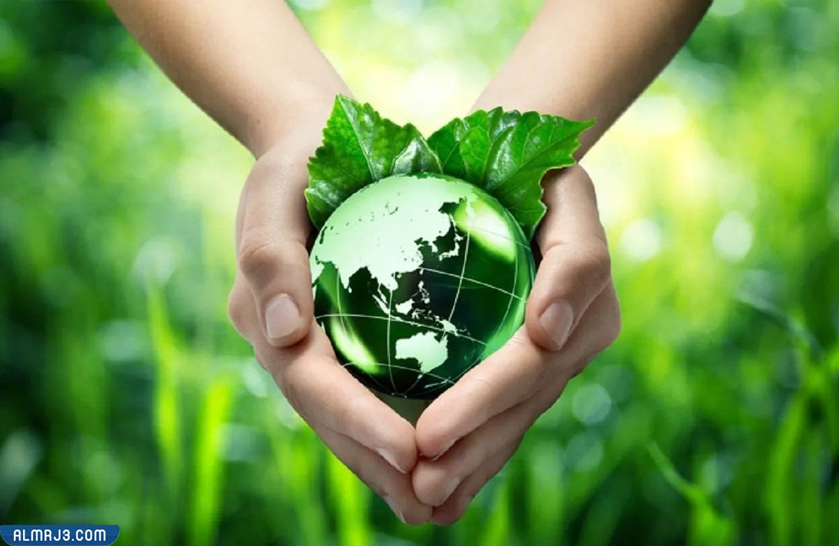 افكار توزيعات يوم التخضير