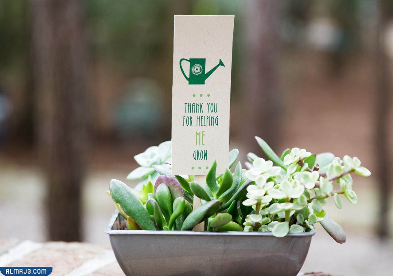 افكار توزيعات يوم المعلم 2022 مميزة جدا بالصور