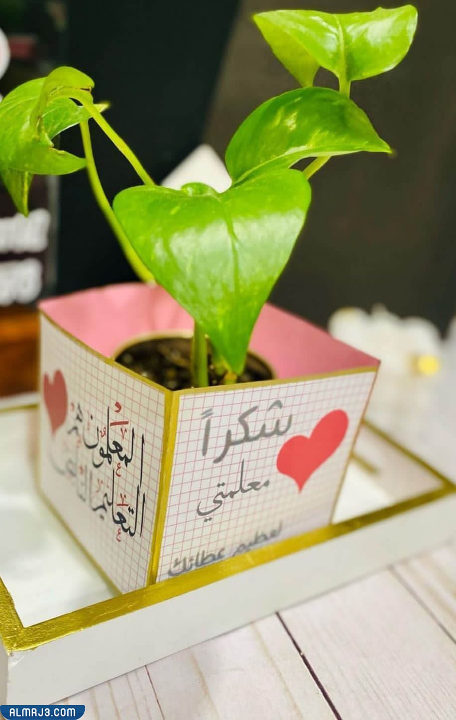 افكار هدايا للمعلمين في يوم المعلم 1444 بالصور