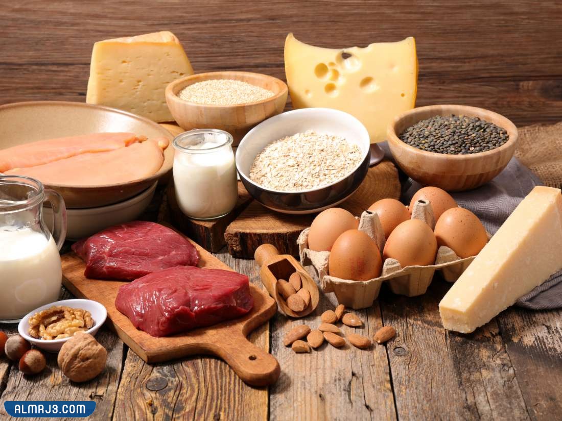 الأطعمة التي تحتوي على بروتين عالي