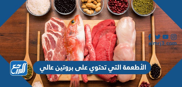 الأطعمة التي تحتوي على بروتين عالي