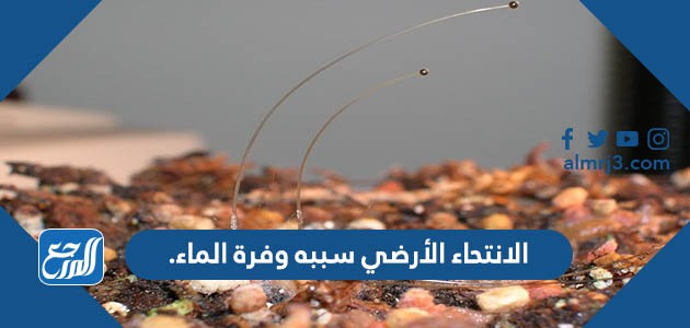 الانتحاء الأرضي سببه وفرة الماء.