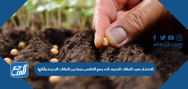 الانتشار مفيد للنباتات البذرية، لأنه يمنع التنافس فيما بين النباتات الجديدة وآبائها