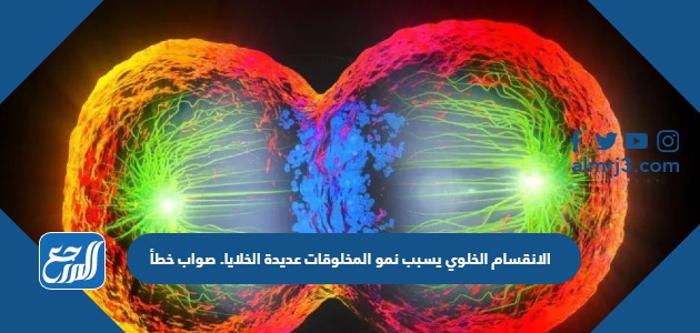 الانقسام الخلوي يسبب نمو المخلوقات عديدة الخلايا. صواب خطأ