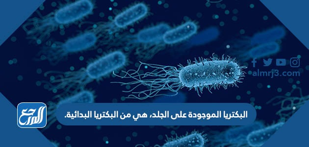 البكتريا الموجودة على الجلد، هي من البكتريا البدائية.