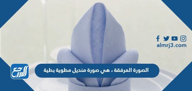 الصورة المرفقة ، هي صورة منديل مطوية بطية