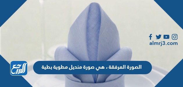 الصورة المرفقة ، هي صورة منديل مطوية بطية