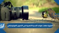 الصورة حققت قواعد النسبة الذهبية في التصوير الفوتوغرافي