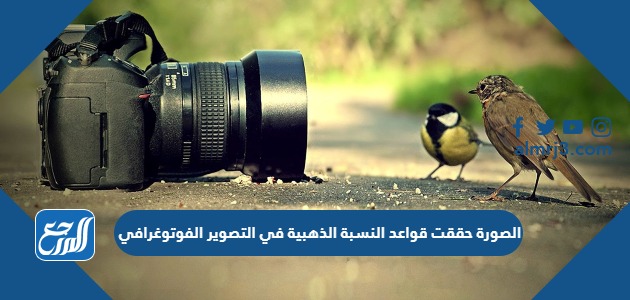 الصورة حققت قواعد النسبة الذهبية في التصوير الفوتوغرافي