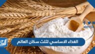 الغذاء الاساسي لثلث سكان العالم