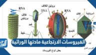 الفيروسات الارتجاعية مادتها الوراثية