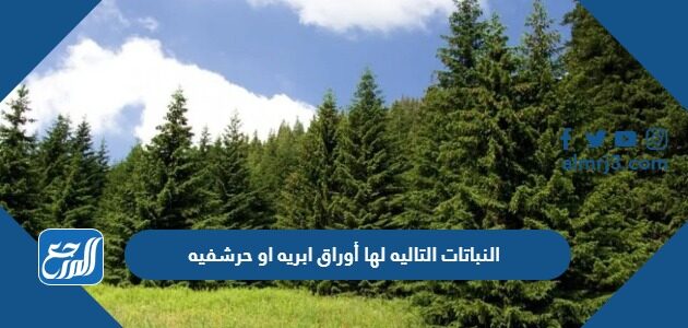 النباتات التاليه لها أوراق ابريه او حرشفيه