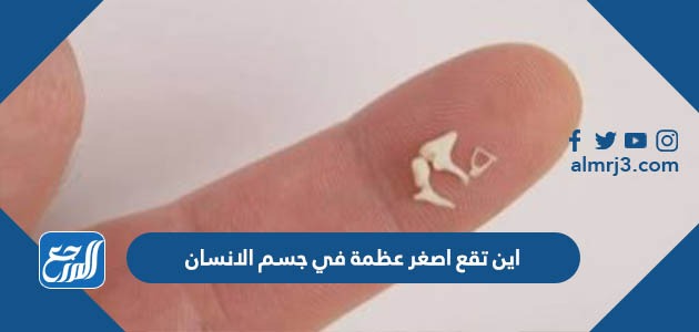 اين تقع اصغر عظمة في جسم الانسان