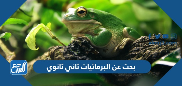 بحث عن البرمائيات ثاني ثانوي