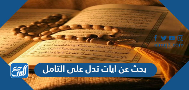 بحث عن ايات تدل على التامل