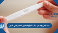 بعد كم يوم من غياب الدورة يظهر الحمل في البول