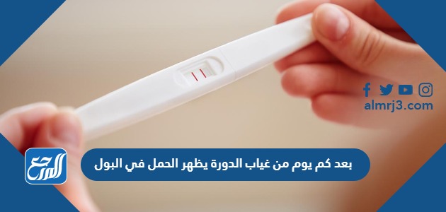 بعد كم يوم من غياب الدورة يظهر الحمل في البول