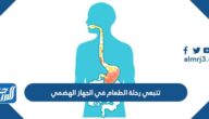 تتبعي رحلة الطعام في الجهاز الهضمي