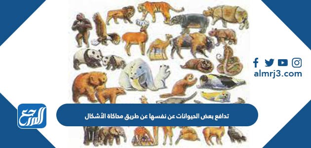 تدافع بعض الحيوانات عن نفسها عن طريق محاكاة الأشكال