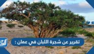 تقرير عن شجرة اللبان في عمان pdf جاهز للطباعة