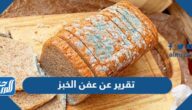 تقرير عن عفن الخبز pdf doc جاهز للطباعة
