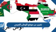 تقرير عن موقع الوطن العربي pdf جاهز للطباعة