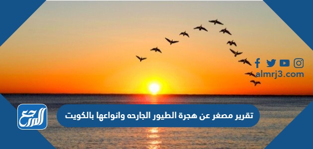 تقرير مصغر عن هجرة الطيور الجارحه وانواعها بالكويت