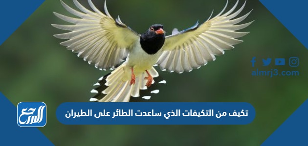 تكيف من التكيفات الذي ساعدت الطائر على الطيران